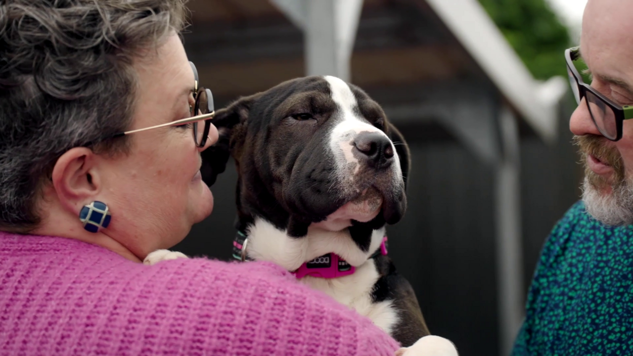 Heidi and Steve with Bee (ep 2)