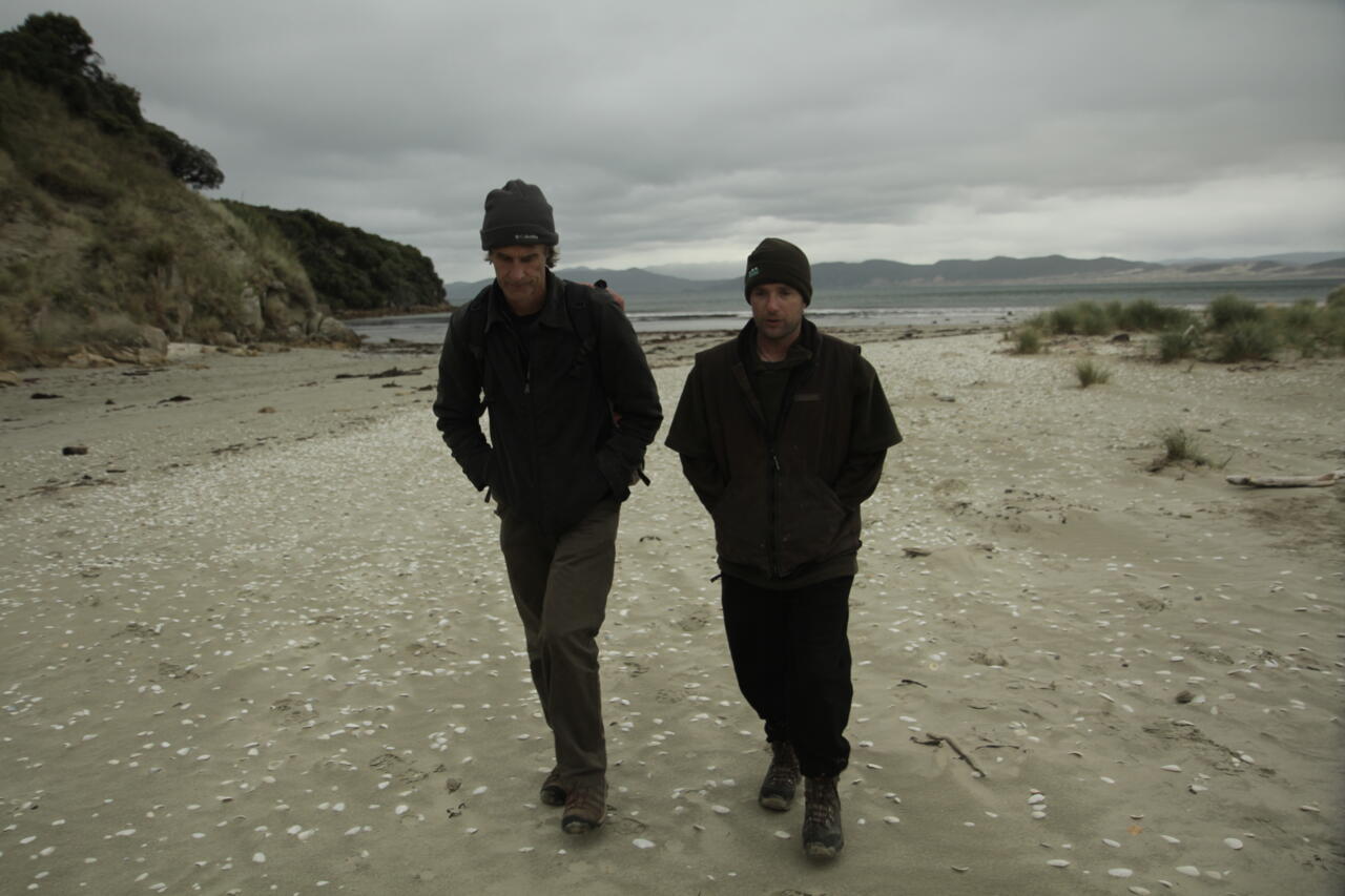 Wild Coasts_1816