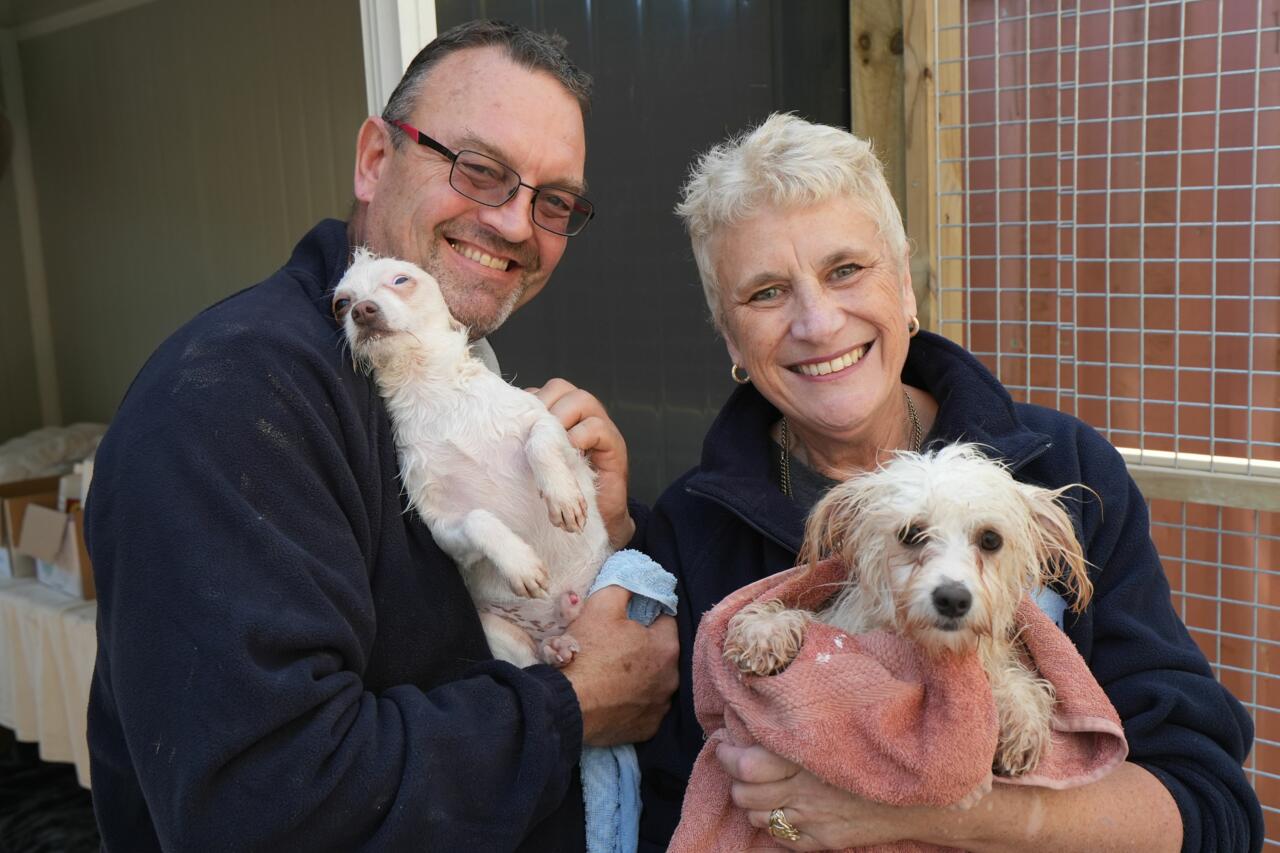 The Dog House NZ (53) Helen and Gavin Cook with Pero and Kaimai (c) SPP 2022